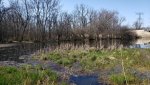 20200405_145035.jpg
