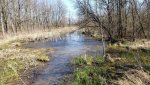 20200405_145024.jpg