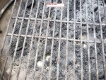 Weber-Pics-3.jpg