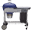 1998 blue performer.gif