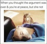 cat-dog-meme.jpg