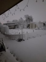 New Year Ice Snow.jpg