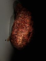 408A7D8D-D4D9-4325-B8DF-7F5756BC20F2.jpeg