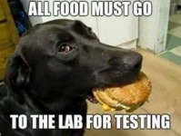 food-lab-meme.jpg