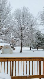 20210104_123225.jpg