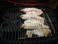 IMG_20210115_194932939.jpg