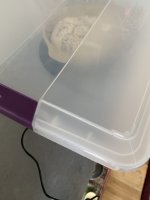 B4AE020F-E6D2-40A0-B181-D5AF1C847557.jpeg B4AE020F-E6D2-40A0-B181-D5AF1C847557.jpeg