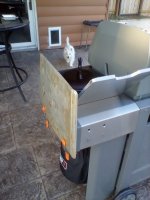 IMG_20210119_165023.jpg
