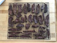 jerkyjanuary21e.JPG jerkyjanuary21e.JPG