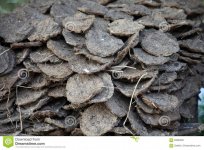 dry-cow-dung-west-bengal-india-83893081.jpg