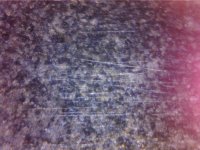WIN_20210219_10_14_02_Pro.jpg