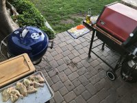 IMG_4769.JPG IMG_4769.JPG