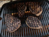 Q100 searing steaks.jpeg