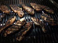 Q3200 grilling chicken at night.jpeg