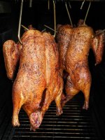duck (1).jpg