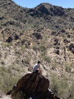 harry on rock.jpg