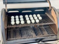 SF.Eggs.Start.jpg