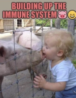 immune system.png