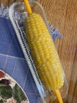 BiColor Corn on the Cob.jpg