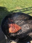 IMG_2011.jpeg IMG_2011.jpeg