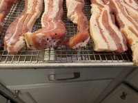 36922E44-4540-48B6-A34C-D3C9F7240F5E.jpeg