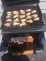 direct wings.JPG