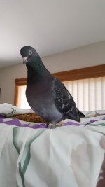 20190611_142814.jpg