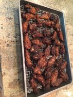 wsm 18 wings.JPG