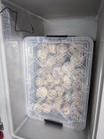 PXL_20210711_003416366.jpg