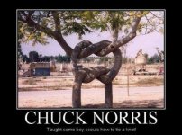 chuck-norris-tree-knot.jpg