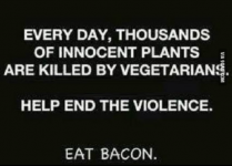 bacon.PNG