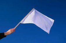 flag.jpg