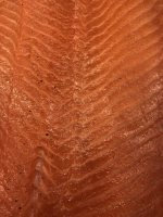 C9B8F923-8B9F-4830-B054-141786D9F03F.jpeg