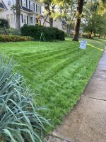 GRASS.jpg