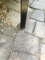 IMG-1905.JPG