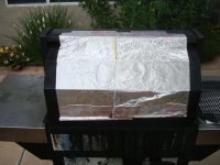 Grill-foil-curtain.jpg