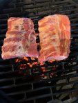 GrilledRibs1.jpg