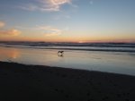 20181017_182950.jpg