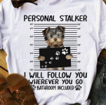 dog stalker.png