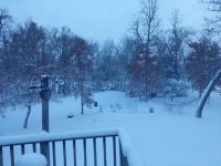 20211211 Snow.jpg