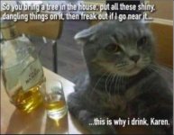 cat-drinking.jpeg