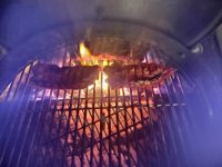 IMG_20220105_175330210.jpg