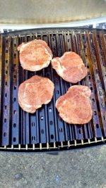FirstCookWeberCharQ 005.jpg