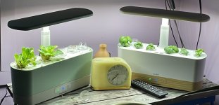 AeroGarden.JPG AeroGarden.JPG