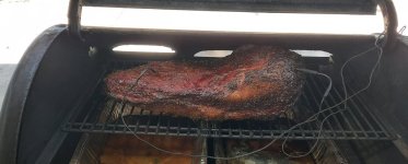 2-27-22 Brisket 2.jpg 2-27-22 Brisket 2.jpg