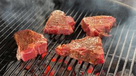 lambchops03032022d.JPG