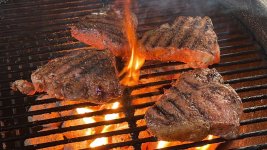 lambchops03032022f.JPG