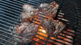 lambchops03032022h.JPG