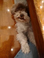 IMG_20220306_182515996.jpg