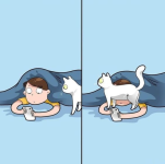 cat blocking.png